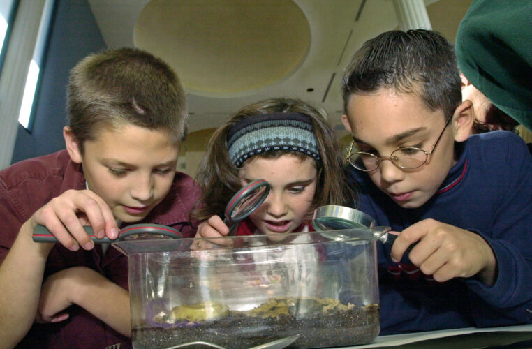 Microschools offer new alternatives to Michigan families
